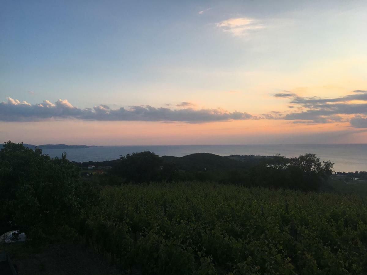Bella Vista Lägenhet Ankaran Exteriör bild