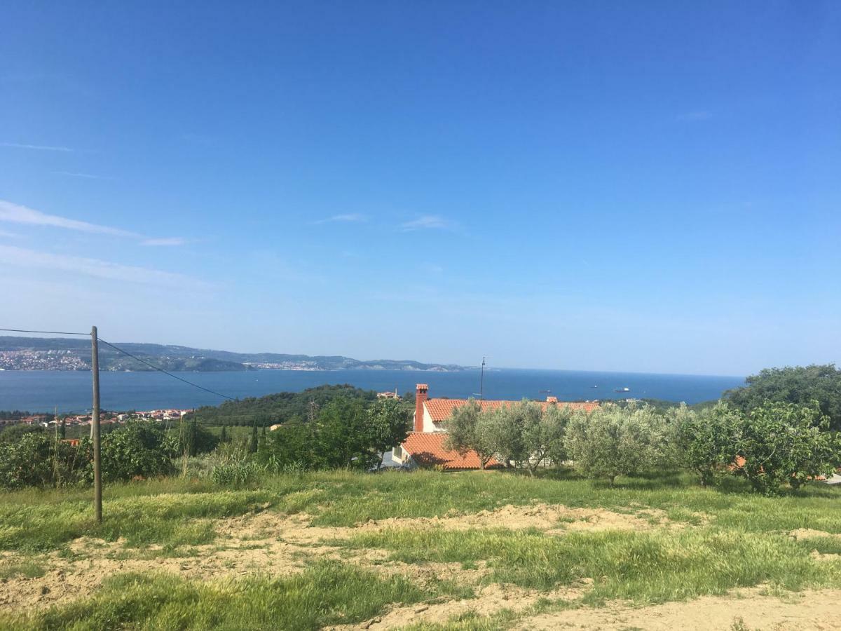 Bella Vista Lägenhet Ankaran Exteriör bild