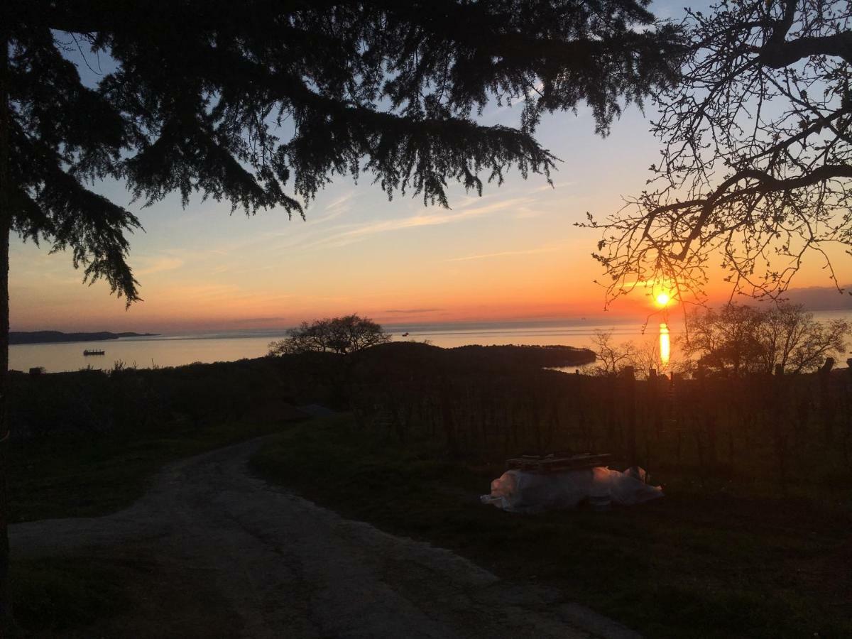 Bella Vista Lägenhet Ankaran Exteriör bild