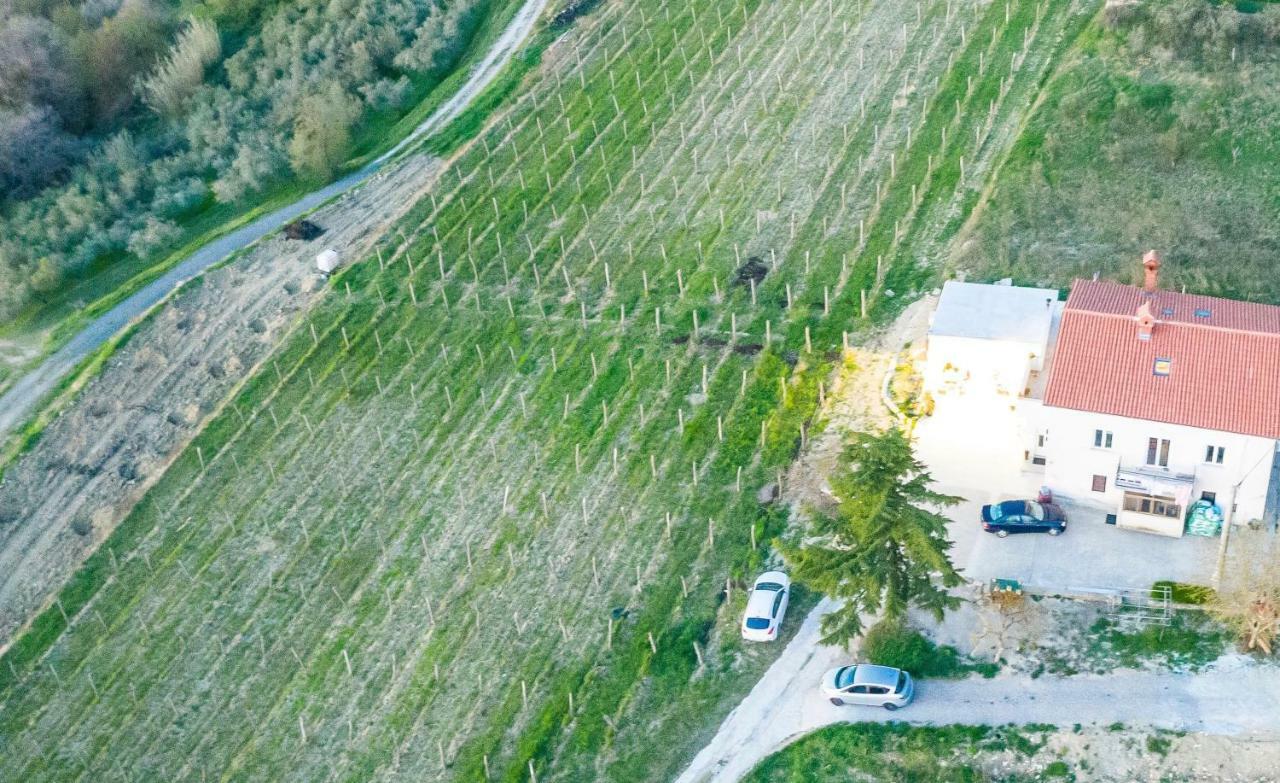Bella Vista Lägenhet Ankaran Exteriör bild