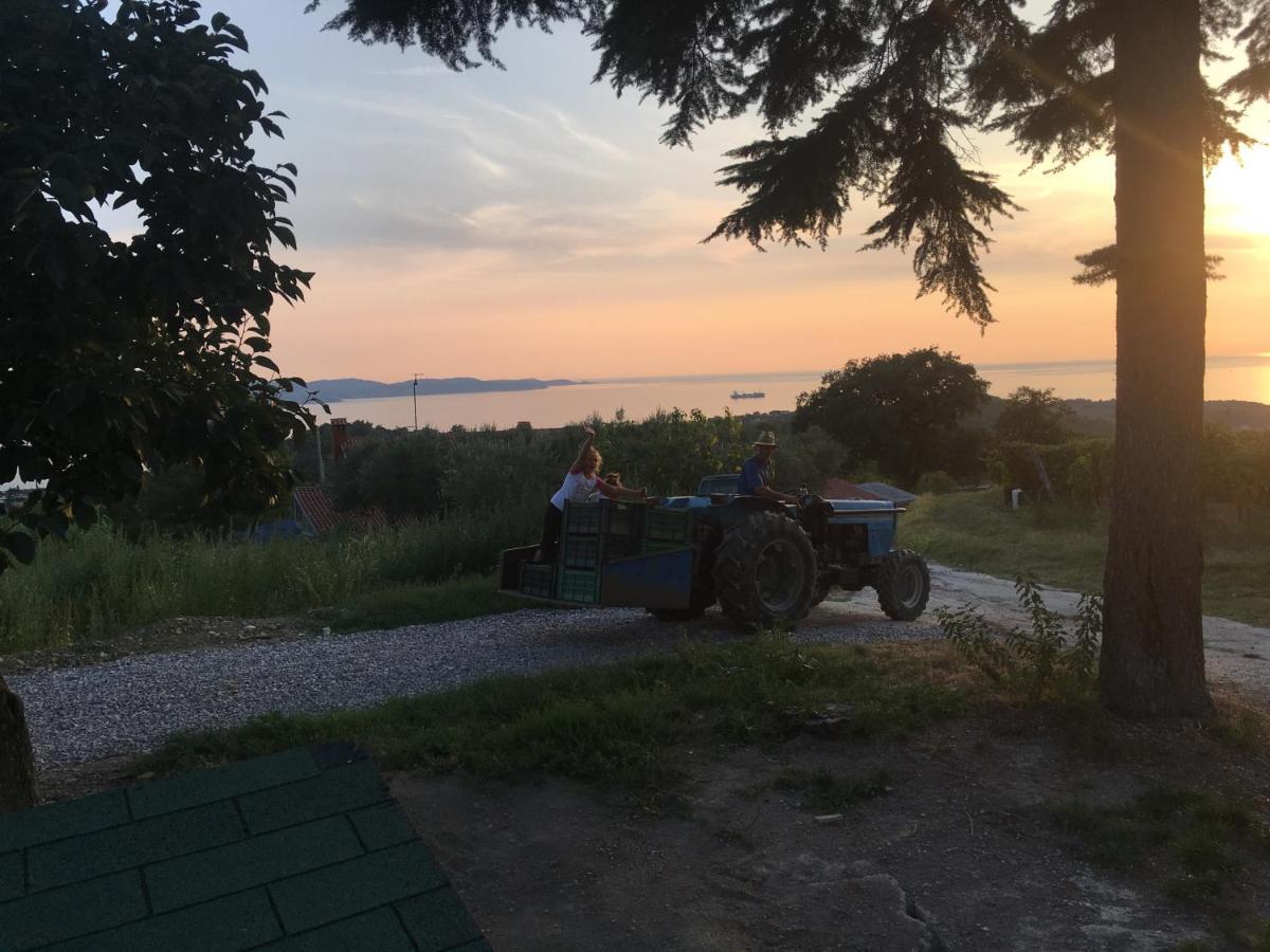 Bella Vista Lägenhet Ankaran Exteriör bild